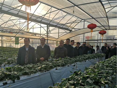 点击在新窗口中打开