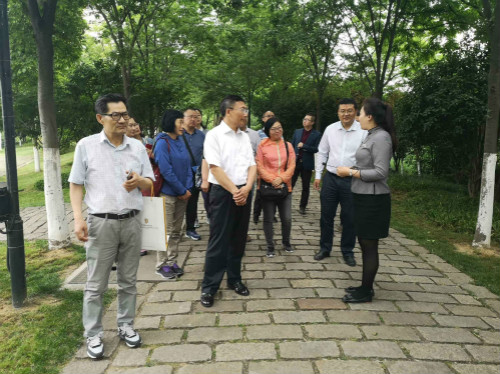 点击在新窗口中打开